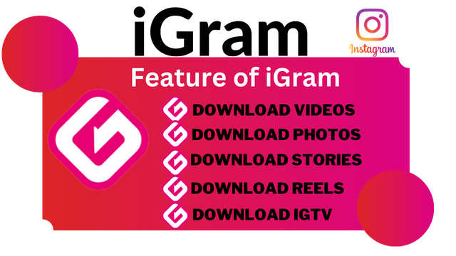 iGram Instagram Downloader Features